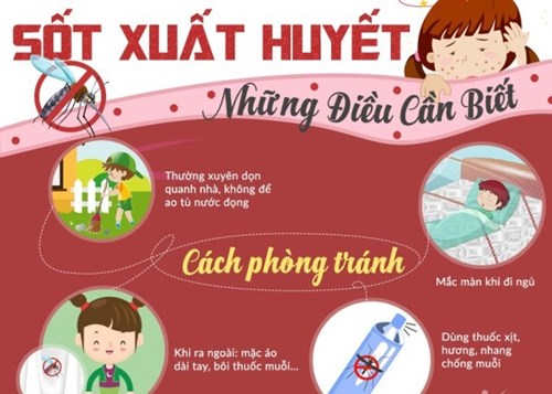 Chung tay phòng chống dịch sốt xuất huyết